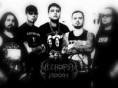 /album/necropsy-room/necropsy2-jpg/